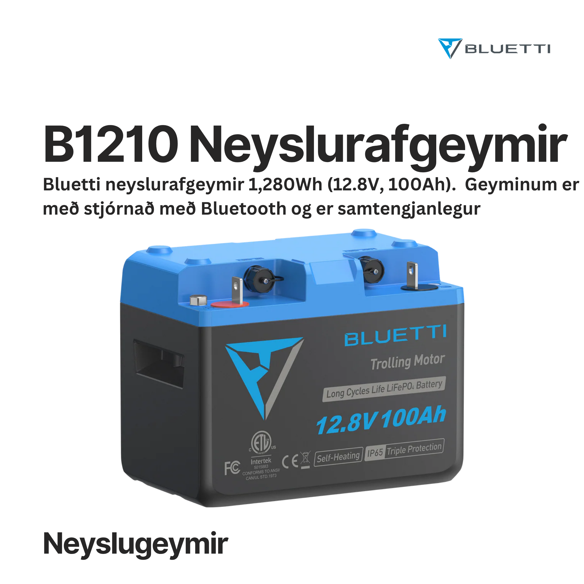 BLUETTI B1210 Neyslurafgeymir 1,280Wh (12.8V, 100Ah)