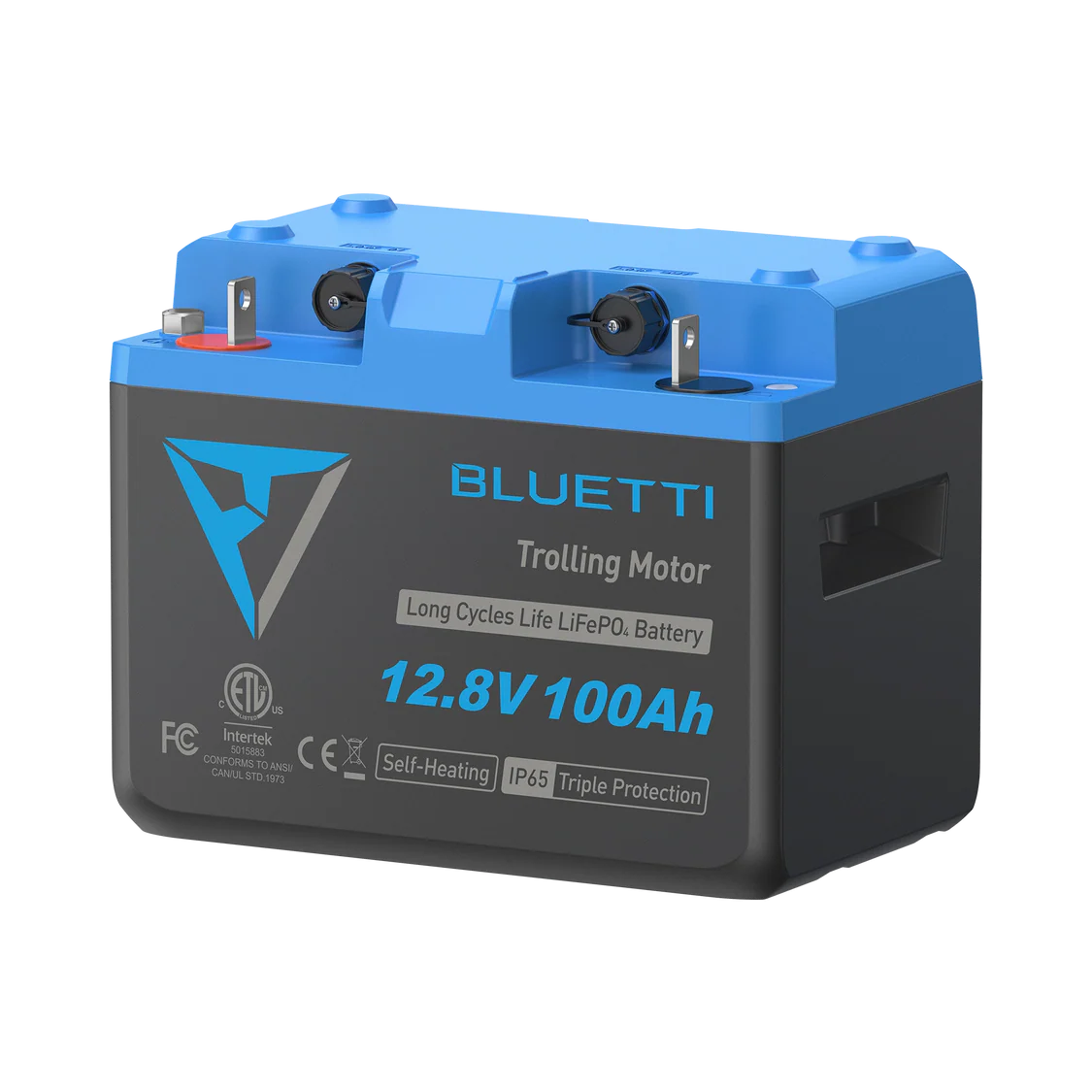 BLUETTI B1210 Neyslurafgeymir 1,280Wh (12.8V, 100Ah)